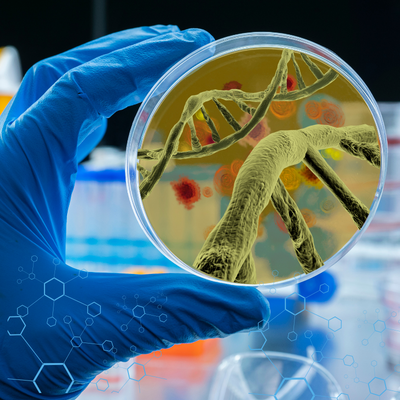 Whitepaper: High Resolution Methods for Clinical Biomarker Validation