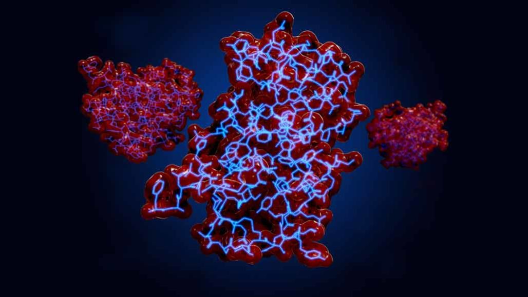 Navigating Cell and Gene Therapy Protein Analysis: A Case Study in Precision and Adaptability